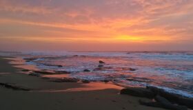 Begin your e-visa-prepared day with Vietnam’s tranquil ambiance